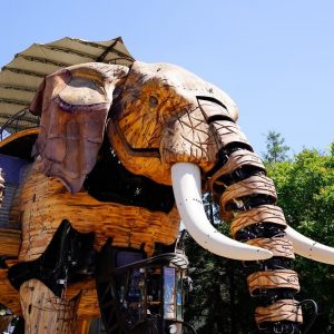Décorateur d'interieur à Nantes